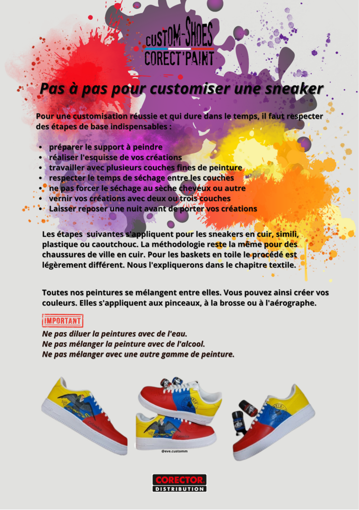 Kit de Peinture Pour Chaussures  Initiation À La Personnalisation
